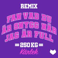 250 kg kärlek - Fan vad du är snygg när jag är full (Remix [Explicit])
