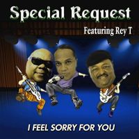 Special Request - I Feel Sorry for You