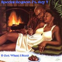 Special Request - U Got What I Need