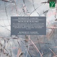Roberto Laneri - Roberto Laneri: Winterträume (De-Compositions & Re-Compositions)