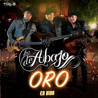 Los De Abajo - Oro (En Vivo)