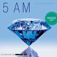 Schwarz & Funk - 5 AM (Radio Edit)
