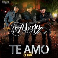 Los De Abajo - Te Amo (En Vivo)