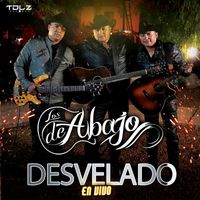 Los De Abajo - Desvelado (En vivo)