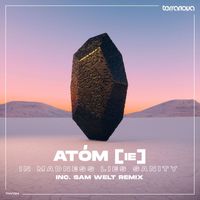Atóm (IE) - In Madness Lies Sanity