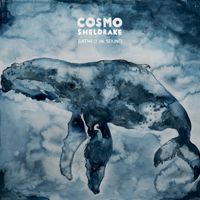 Cosmo Sheldrake - Bathed In Sound