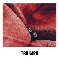 Agency - TRIUMPH (Explicit)