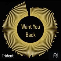 Trident - Want You Back