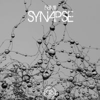 58MII - Synapse