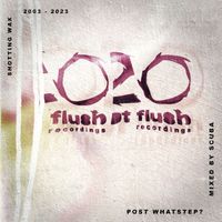 Scuba - Post Whatstep? - Hotflush 20 (DJ Mix)
