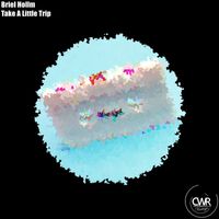 Briel Hollm - Take A Little Trip