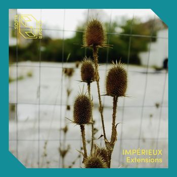 Impérieux - Extensions