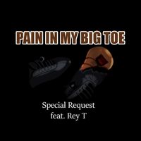 Special Request - Pain in My Big Toe