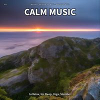 Wellness & Relaxing Spa Music & Relaxation Music - #01 Calm Music to Relax, for Sleep, Yoga, Slumber