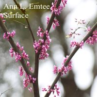 Ann L. Emtee - Surface
