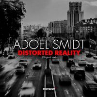 AdoeL Smidt - Distorted Reality