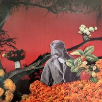 Will Fox - Berry on a Briar (Alt Version)