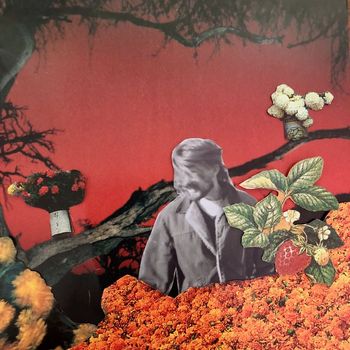 Will Fox - Berry on a Briar (Alt Version)