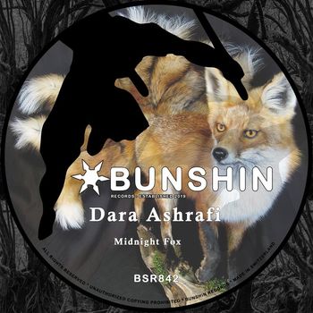 Dara Ashrafi - Midnight Fox