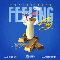 Fwet Boy Rico - Feeling Fly (Explicit)