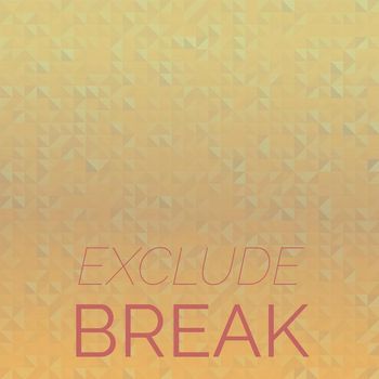 Various Artists - Exclude Break