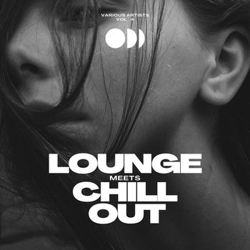 Various Artists - Lounge Meets Chill Out, Vol. 4