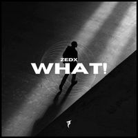 Zedx - What!