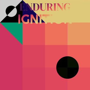 Various Artists - Enduring Ignition