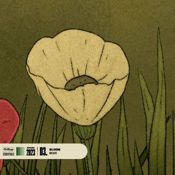 Mr Slipz - Bloom