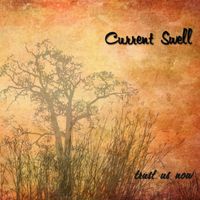 Current Swell - Trust Us Now