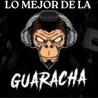 DJ Mendoza - LO MEJOR DE LA GUARACHA