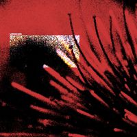 Scuro - Urchin
