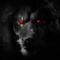 Afterlife - Black Lion (Explicit)