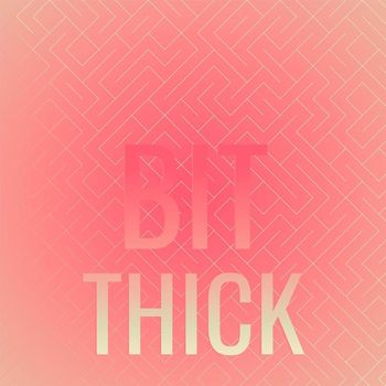 Various Artists - Bit Thick