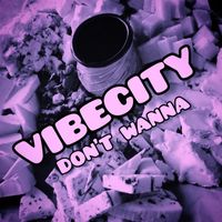 VIBECITY - DON'T WANNA
