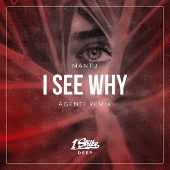 Mantu - I See Why (AGENT! Remix)