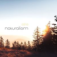 Elfe - Naturalism