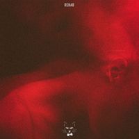 The Motans - Rehab