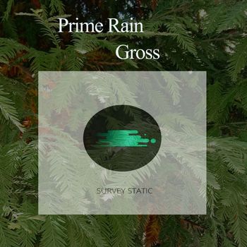 Prime Rain - Gross