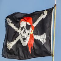 ebunny - Pirate Jolly Roger
