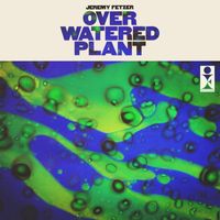Jeremy Fetzer - Over-Watered Plant