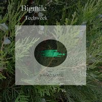 Bigmile - Techweek
