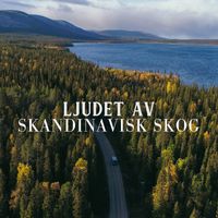 Djup Avslappningsövningar Akademi - Ljudet av skandinavisk skog