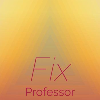 Various Artists - Fix Professor