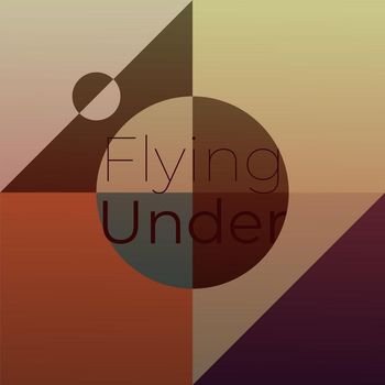 Various Artists - Flying Under