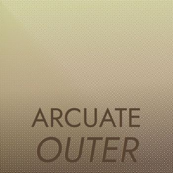 Various Artists - Arcuate Outer