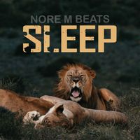 Noré M beats - Sleep