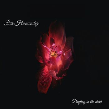 Luis Hermandez - Drifting in the Dark