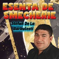 Stefan de la Barbulesti - Esenta de smecherie