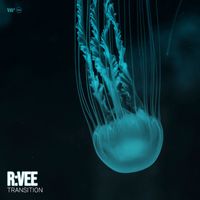 R:VEE - Transition